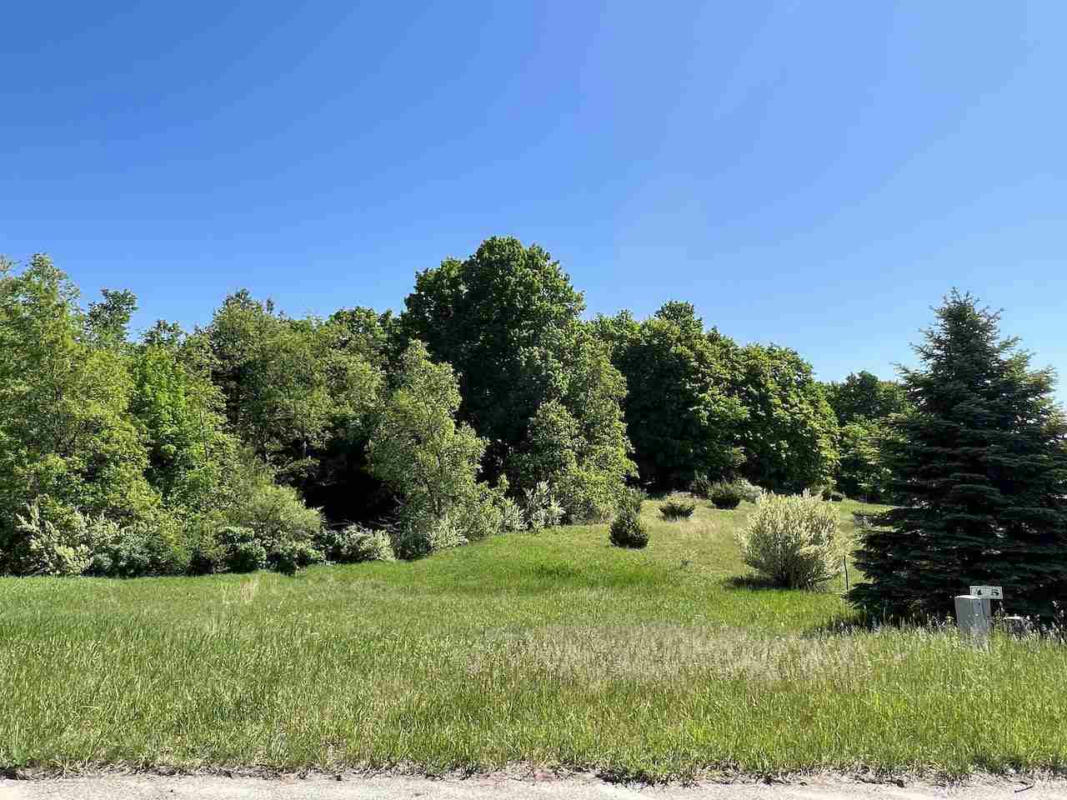 LOT 4 ALDEN MEADOWS DRIVE # 4, ALDEN, MI 49612, photo 1 of 43