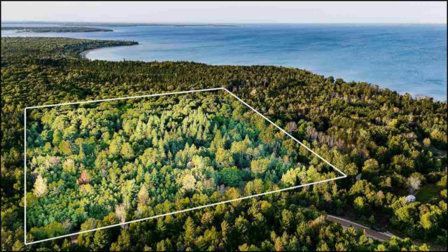 TBD EAST SIDE DRIVE, BEAVER ISLAND, MI 49782 - Image 1