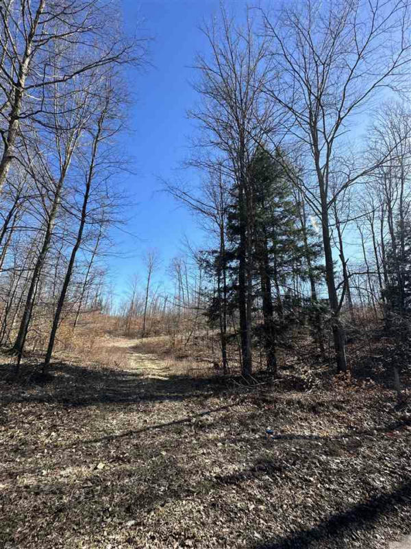 LOT 3 HIGH PINES TRAIL, BOYNE CITY, MI 49712, photo 1 of 7