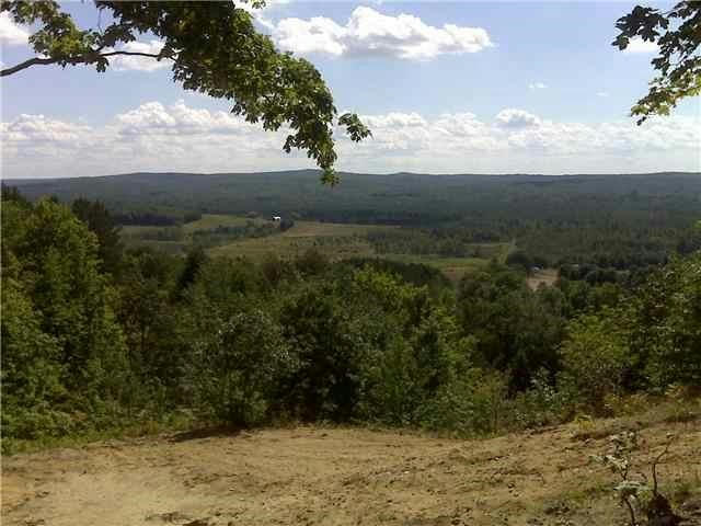 TBD MORITZ TRAIL # LOT 117, BOYNE FALLS, MI 49713, photo 1 of 6