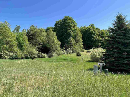 LOT 4 ALDEN MEADOWS DRIVE # 4, ALDEN, MI 49612, photo 3 of 43