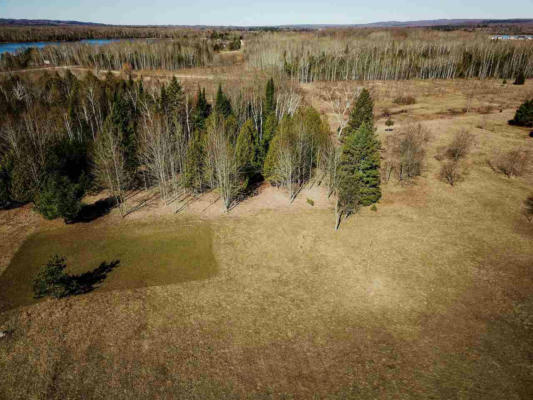 TBD VACANT LAKEVIEW ROAD, ALANSON, MI 49706, photo 3 of 19