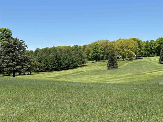 LOT 49 WILLIAM DIDDLE DR. # 49, BELLAIRE, MI 49615, photo 5 of 23