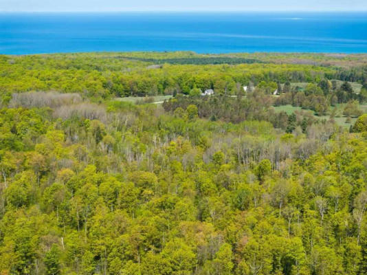 VORCE ROAD, HARBOR SPRINGS, MI 49740 - Image 1