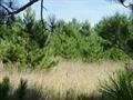 7022 ROLLING MEADOW TRL LOT 10, HARBOR SPRINGS, MI 49740, photo 3 of 4