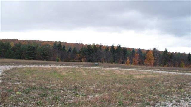 8118 MILLER RD LOT 19, ALANSON, MI 49706, photo 1 of 6