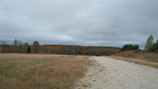 8118 MILLER RD LOT 19, ALANSON, MI 49706, photo 3 of 6