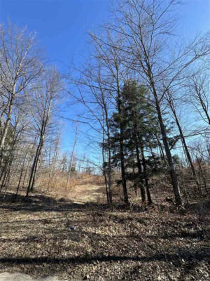 LOT 3 HIGH PINES TRAIL, BOYNE CITY, MI 49712, photo 4 of 7