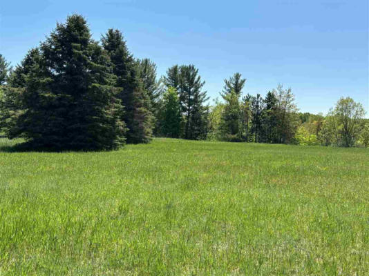 LOT 49 WILLIAM DIDDLE DR. # 49, BELLAIRE, MI 49615, photo 3 of 23