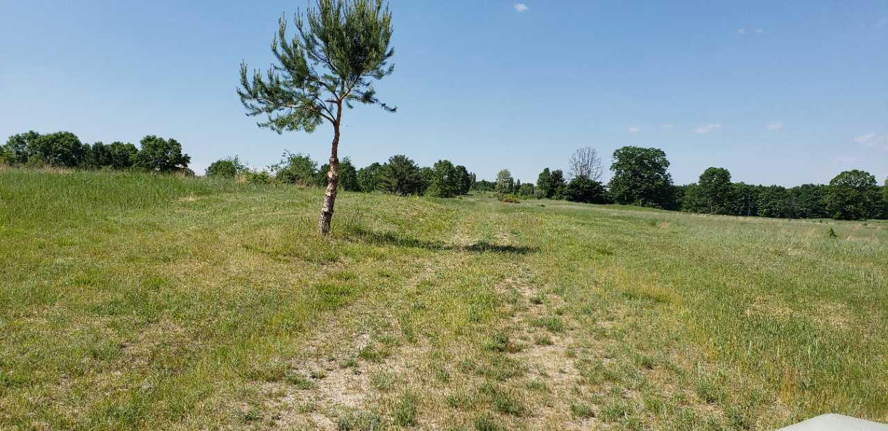 LOT 36 ALDEN MEADOWS, ALDEN, MI 49612, photo 1 of 7