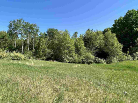 LOT 4 ALDEN MEADOWS DRIVE # 4, ALDEN, MI 49612, photo 4 of 43